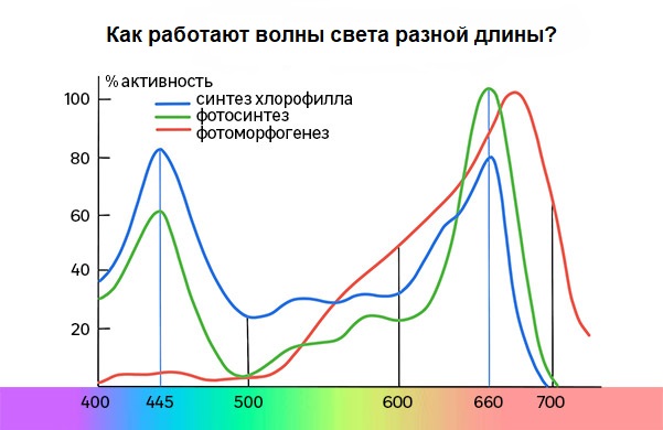 Анализ частоты светового потока для фитоламп