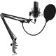Настольный микрофон для записи голоса и вокала Ritmix RDM-169 USB