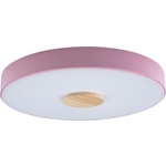 Светильник Loft IT потолочный светодиодный Axel 10003/24 pink