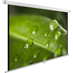 Экран Cactus 150x200 см WallExpert CS-PSWE-200x150-WT (CS-PSWE-200X150-WT)