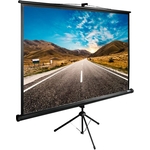 Экран Cactus 160x160 см TriExpert CS-PSTE-160x160-BK (CS-PSTE-160X160-BK)