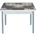 Стол обеденный Катрин Симпл поворотно раскладной, с фотопечатью, бетон белый, орхидея на черных камнях, опора круглая серебристый металлик