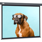 Экран для проектора Cactus 149.4x265.7 см Wallscreen CS-PSW-149X265-SG 16:9 настенно-потолочный рулонный серый