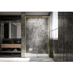 Душевая дверь Veconi Premium Trento PTD-40G 120х200 прозрачная, брашированное золото (PTD40-G-120-01-C4)
