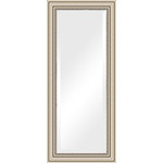 Зеркало с фацетом в багетной раме поворотное Evoform Exclusive 67x157 см, серебряный акведук 93 мм (BY 1288)