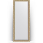 Зеркало напольное с фацетом Evoform Exclusive Floor 78x198 см, в багетной раме - состаренное серебро с плетением 70 мм (BY 6102)