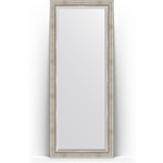 Зеркало напольное с фацетом Evoform Exclusive Floor 81x201 см, в багетной раме - римское серебро 88 мм (BY 6118)