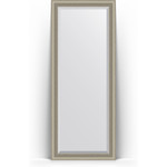 Зеркало напольное с фацетом Evoform Exclusive Floor 81x201 см, в багетной раме - хамелеон 88 мм (BY 6120)