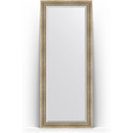 Зеркало напольное с фацетом Evoform Exclusive Floor 82x202 см, в багетной раме - серебряный акведук 93 мм (BY 6121)