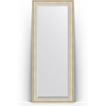 Зеркало напольное с фацетом Evoform Exclusive Floor 83x203 см, в багетной раме - травленое серебро 95 мм (BY 6123)