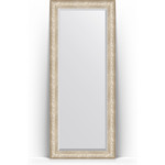 Зеркало напольное с фацетом Evoform Exclusive Floor 85x205 см, в багетной раме - виньетка серебро 109 мм (BY 6136)