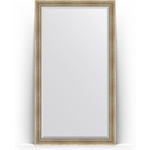 Зеркало напольное с фацетом Evoform Exclusive Floor 112x202 см, в багетной раме - серебряный акведук 93 мм (BY 6161)