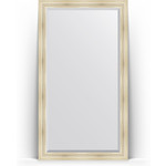 Зеркало напольное с фацетом Evoform Exclusive Floor 114x204 см, в багетной раме - травленое серебро 99 мм (BY 6168)