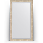 Зеркало напольное с фацетом Evoform Exclusive Floor 115x205 см, в багетной раме - виньетка серебро 109 мм (BY 6176)