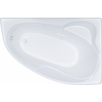 Акриловая ванна Triton Николь L 160x100 левая, на каркасе, с фронтальной панелью (Щ0000049493, Щ0000048681)