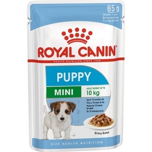 Пауч Royal Canin Mini Puppy Gravy-Salsa кусочки в соусе сальса для щенков мелких пород с 2 до 10мес 85г, Mini Puppy Gravy-Salsa кусочки в соусе сальса для щенков мелких пород с 2 до 10мес 85г
Пауч Royal Canin Mini Puppy Gravy-Salsa кусочки в соусе сальса для щенков мелких пород с 2 до 10мес 85г, Mini Puppy Gravy-Salsa кусочки в соусе сальса для щенков мелких пород с 2 до 10мес 85г
