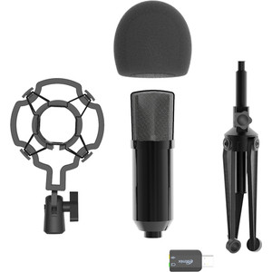 Микрофон Ritmix RDM-160 black