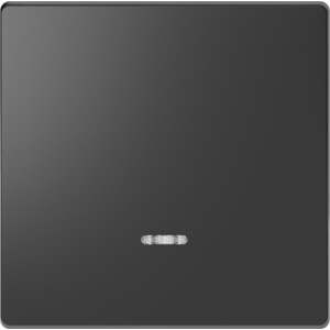 Клавиша Schneider Electric одинарная Merten D-Life MTN3320-6034, одинарная Merten D-Life MTN3320-6034
Клавиша Schneider Electric одинарная Merten D-Life MTN3320-6034, одинарная Merten D-Life MTN3320-6034