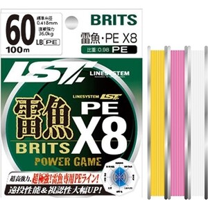 Шнур плетеный Linesystem Raigyo Britz PE X8 80LB 80м white, Raigyo Britz PE X8 80LB 80м white
Шнур плетеный Linesystem Raigyo Britz PE X8 80LB 80м white, Raigyo Britz PE X8 80LB 80м white