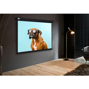 Экран для проектора Cactus 183x244 см Wallscreen CS-PSW-183X244-BK 4:3 настенно-потолочный рулонный черный