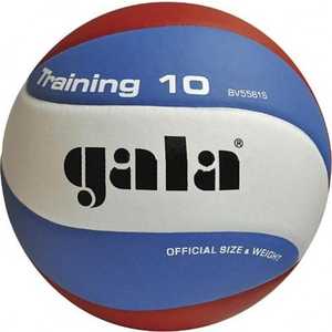 фото Мяч волейбольный gala training 10 (bv5561s), размер 5, цвет бело-голубо-красный