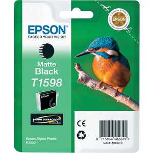 Картридж Epson Stylus Photo R2000 (C13T15984010), Stylus Photo R2000 (C13T15984010)
Картридж Epson Stylus Photo R2000 (C13T15984010), Stylus Photo R2000 (C13T15984010)