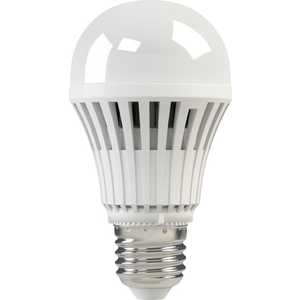 Светодиодная лампа X-flash XF-BG-E27-10W-3K-220V Артикул 43538, XF-BG-E27-10W-3K-220V Артикул 43538
Светодиодная лампа X-flash XF-BG-E27-10W-3K-220V Артикул 43538, XF-BG-E27-10W-3K-220V Артикул 43538