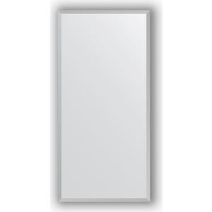 Зеркало в багетной раме поворотное Evoform Definite 46x96 см, хром 18 мм (BY 3065)