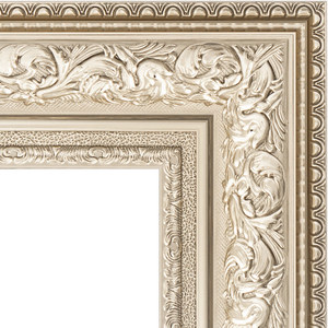 Зеркало напольное с фацетом Evoform Exclusive Floor 115x205 см, в багетной раме - виньетка серебро 109 мм (BY 6176)