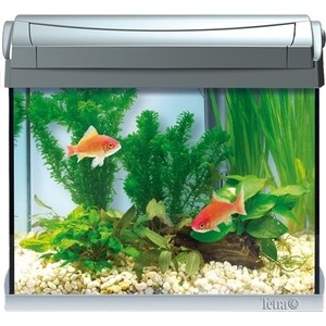 Аквариумный комплекс Tetra AquaArt LED Discover Line Goldfish с LED освещением день / ночь для содержания золотых рыбок 20л, AquaArt LED Discover Line Goldfish с LED освещением день / ночь для содержания золотых рыбок 20л
Аквариумный комплекс Tetra AquaArt LED Discover Line Goldfish с LED освещением день / ночь для содержания золотых рыбок 20л, AquaArt LED Discover Line Goldfish с LED освещением день / ночь для содержания золотых рыбок 20л