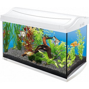 Аквариумный комплекс Tetra AquaArt Discover Line Tropical White Edition 60л (белый), AquaArt Discover Line Tropical White Edition 60л (белый)
Аквариумный комплекс Tetra AquaArt Discover Line Tropical White Edition 60л (белый), AquaArt Discover Line Tropical White Edition 60л (белый)