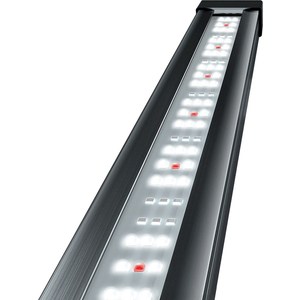 Светильник Tetra Tetronic LED ProLine 580 светодиодный для аквариумов, Tetronic LED ProLine 580 светодиодный для аквариумов
Светильник Tetra Tetronic LED ProLine 580 светодиодный для аквариумов, Tetronic LED ProLine 580 светодиодный для аквариумов