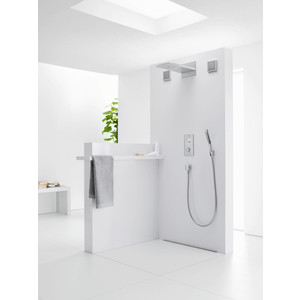 Ручной душ Hansgrohe PuraVida EcoSmart 120 хром (28568000)