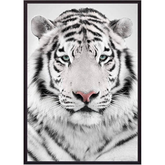 Фото - Постер в рамке Дом Корлеоне Белый тигр 40x60 см постер в рамке дом корлеоне песчаный пляж 40x60 см