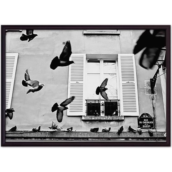 Постер в рамке Дом Корлеоне Голуби Париж 40x60 см постер в рамке дом корлеоне земля 40x60 см