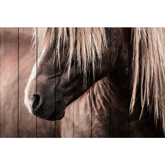 Картина на дереве Дом Корлеоне Скандинавская лошадь 100x150 см