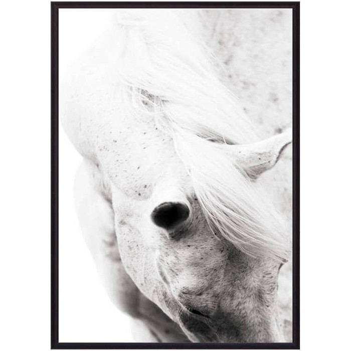 Фото - Постер в рамке Дом Корлеоне Белая лошадь 07-0281-40х60 постер в рамке дом корлеоне одри хепберн 07 0470 40х60