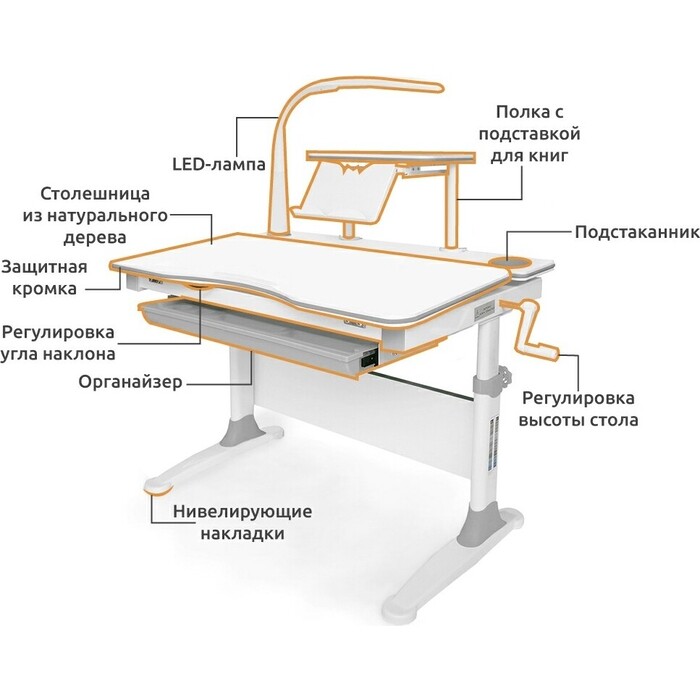 Парта mealux evo 30