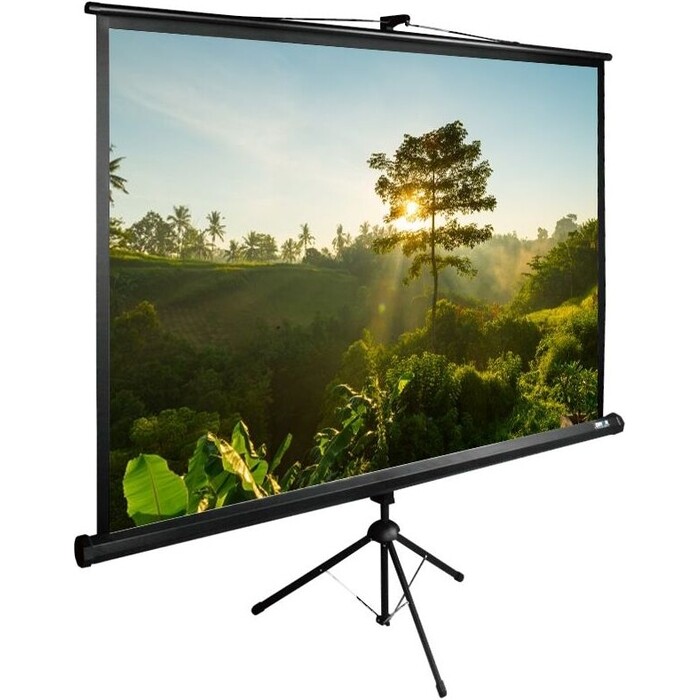 Экран Cactus 200x200 см TriExpert CS-PSTE-200x200-BK (CS-PSTE-200X200-BK)