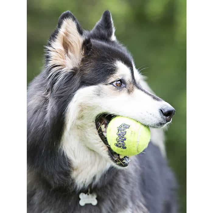 giant kong tennis ball