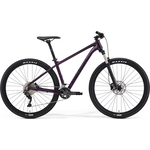 Велосипед Merida Big.Nine 300 (2021) фиолетовый M