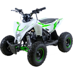 Электроквадроцикл MOTAX Gekkon 1300W Бело - Зеленый