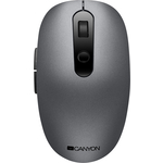 Мышь Canyon 2 in 1 Wireless optical mouse with 6 buttons, DPI 800/1000/1200/1500, 2 mode(BT/ 2.4GHz), Battery AA*1pcs, G (CNS-CMSW09DG)