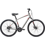 Велосипед Giant Cypress DX (2021) Dark Silver L