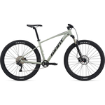 Велосипед Giant Talon 29 1 (2021) Desert Sage M
