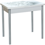 Стол обеденный Катрин Бронкс поворотно раскладной, с фотопечатью, бетон белый, цветы 018, опора круглая серебристый металлик