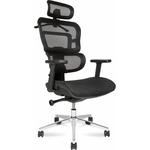 Офисное кресло NORDEN Ergo M A33 черный пластик / черная сетка / черная сетка