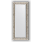 Зеркало с фацетом в багетной раме поворотное Evoform Exclusive 56x136 см, римское серебро 88 мм (BY 1257)