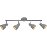 Спот Arte Lamp A1677PL-4GY