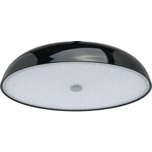 

Потолочный светильник MW-Light 708010205, 708010205